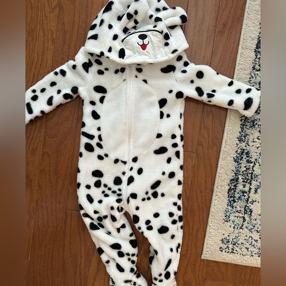 Puppy costume- 9-12 months